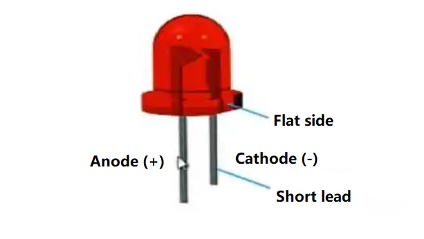 What Is LED Polarity and Why Does It Matter?