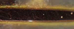 Why Copper Base PCB Delamination Occurs?