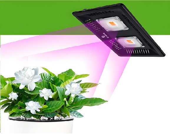 COB LED PCB for Grow Lights