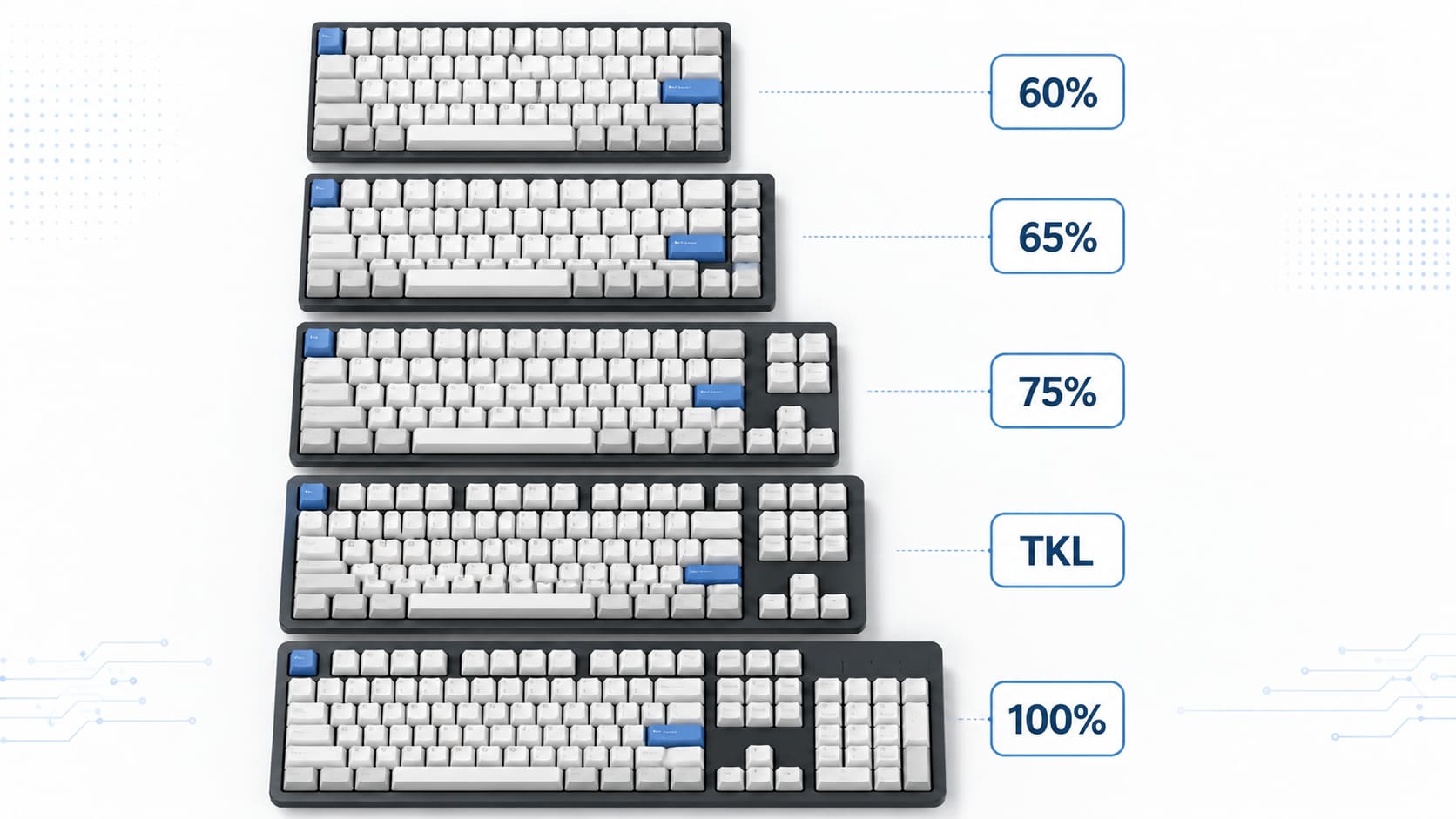 Comparison of 60%, 65%, 75%, TKL, and 100% keyboard layouts