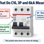 p249-mcb-c16-3p-6ka-meaning