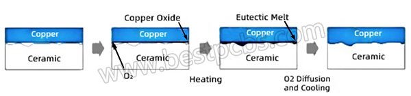 DBC DCB substrate sintering process